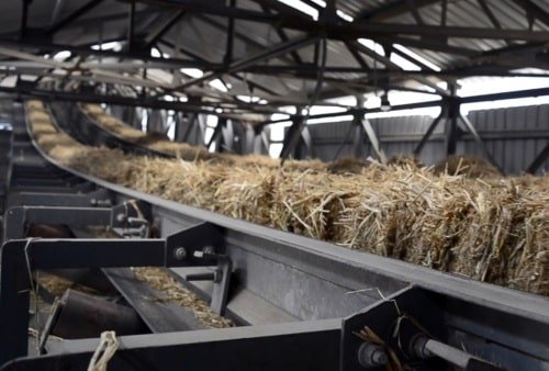 Paddy Straw based Boiler